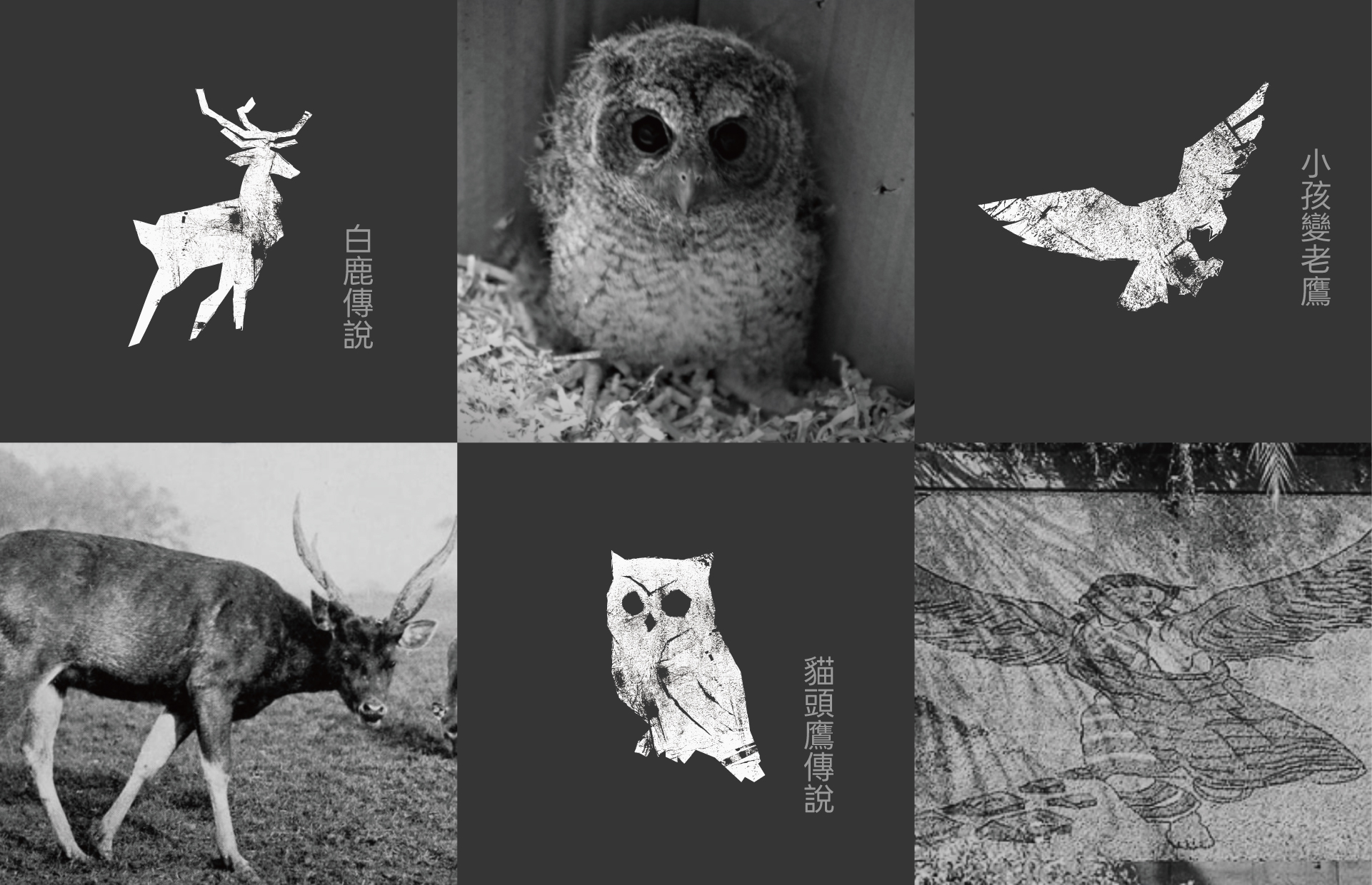邵族傳說視覺
